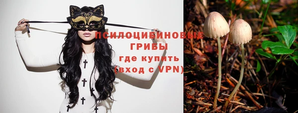 МДПВ Бугульма