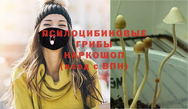2c-b Бронницы