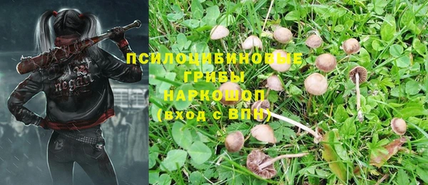 2c-b Бронницы